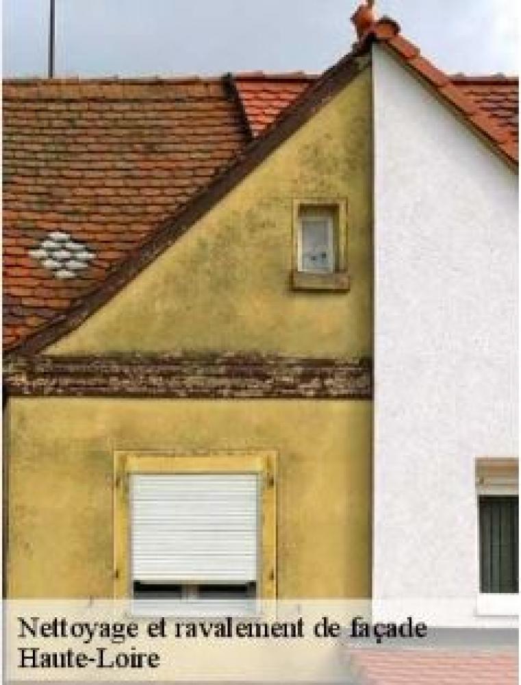 DORKELD couverture nettoie et ravale les façades dans le 43