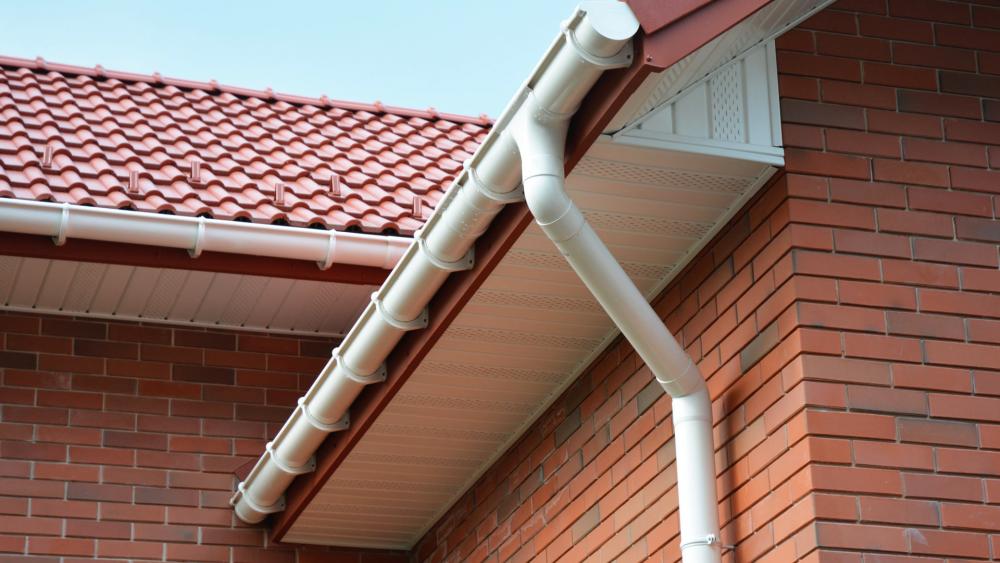 Maîtrise et savoir-faire local